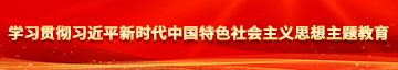 日本美女亚洲大鸡巴操逼学习贯彻习近平新时代中国特色社会主义思想主题教育